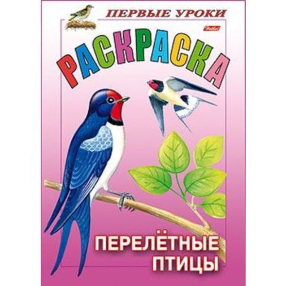 Раскраска 8л А5ф цветной блок на скобе Первые уроки Перелетные птицы , 